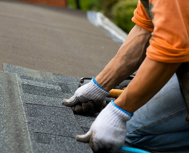 Best Gutter Installation and Roofing  in Elm Springs, AR