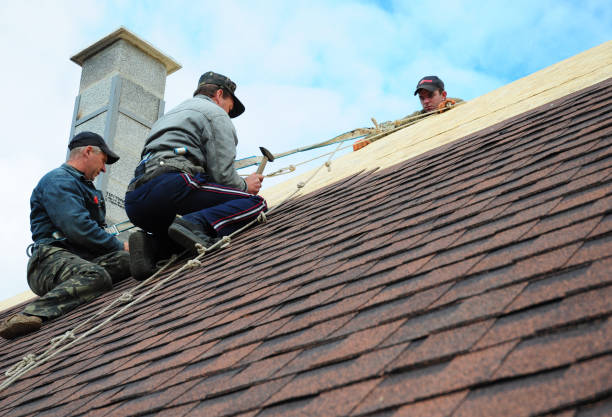 Quick and Trustworthy Emergency Roof Repair Services in Elm Springs, AR